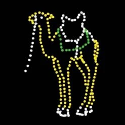 9' Standing Camel With Rein, LED